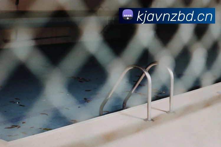 星空官网入口登录发展历程